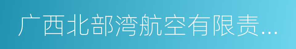 广西北部湾航空有限责任公司的同义词