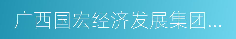 广西国宏经济发展集团有限公司的同义词