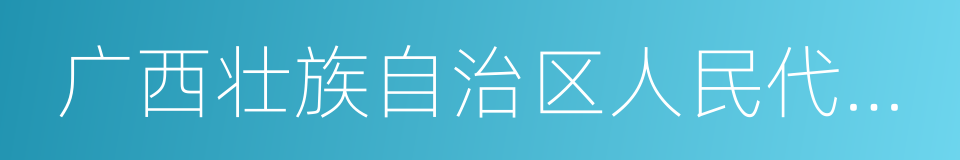 广西壮族自治区人民代表大会常务委员会的同义词