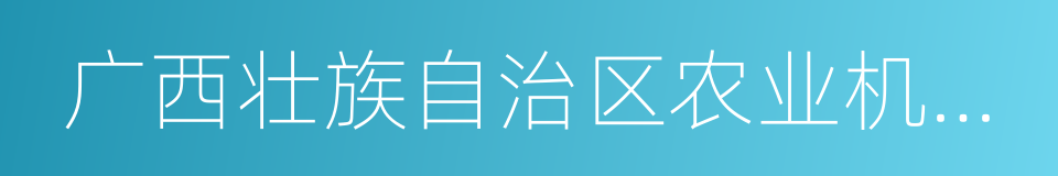 广西壮族自治区农业机械管理条例的同义词