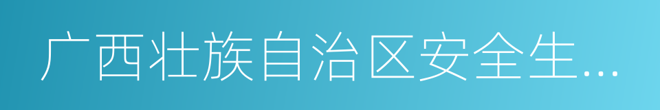 广西壮族自治区安全生产监督管理局的同义词