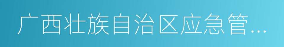 广西壮族自治区应急管理厅的同义词