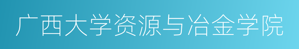 广西大学资源与冶金学院的同义词