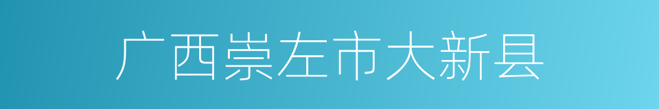 广西崇左市大新县的同义词