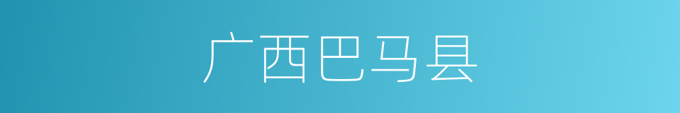 广西巴马县的同义词
