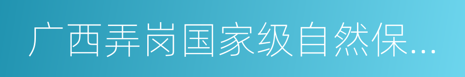 广西弄岗国家级自然保护区的同义词