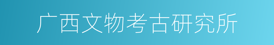 广西文物考古研究所的同义词