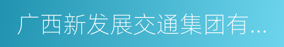 广西新发展交通集团有限公司的同义词