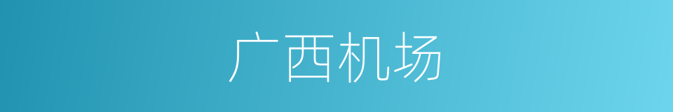 广西机场的同义词