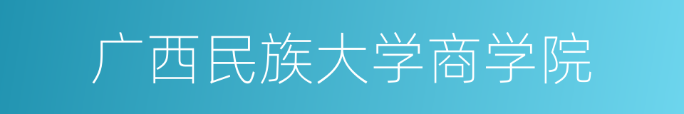 广西民族大学商学院的同义词