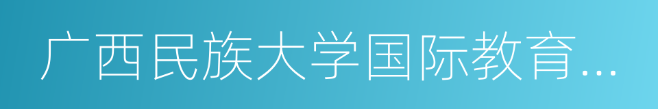 广西民族大学国际教育学院的同义词