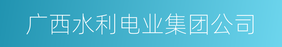 广西水利电业集团公司的同义词