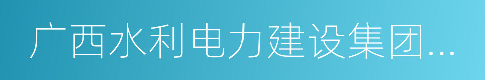 广西水利电力建设集团有限公司的同义词