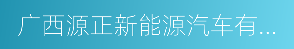 广西源正新能源汽车有限公司的同义词