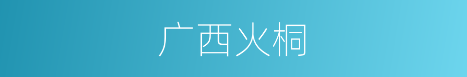 广西火桐的同义词