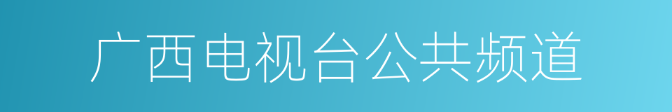 广西电视台公共频道的同义词