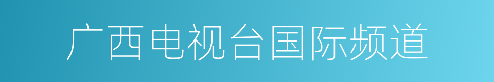 广西电视台国际频道的同义词