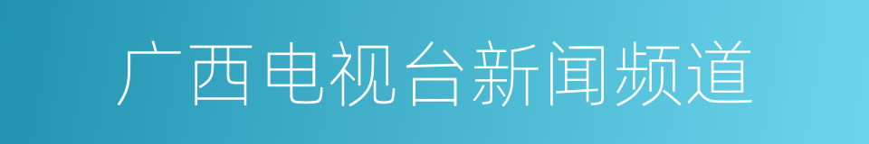 广西电视台新闻频道的同义词