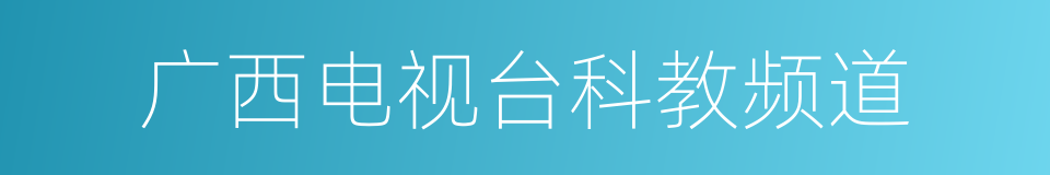 广西电视台科教频道的同义词