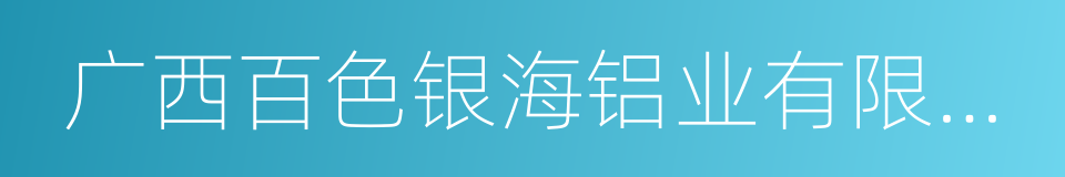 广西百色银海铝业有限责任公司的同义词