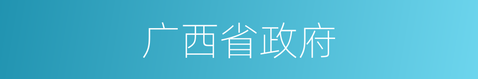 广西省政府的同义词