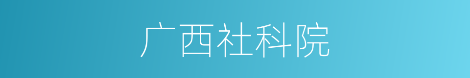 广西社科院的同义词