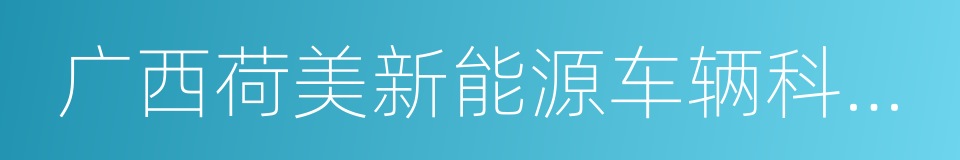 广西荷美新能源车辆科技有限公司的同义词
