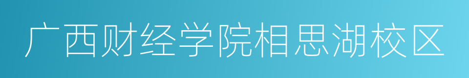 广西财经学院相思湖校区的同义词