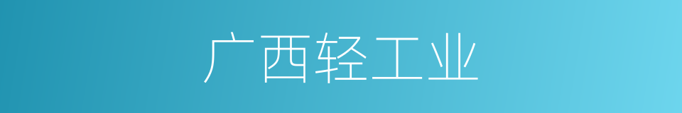 广西轻工业的同义词