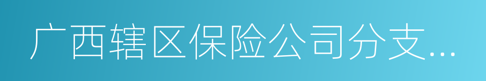 广西辖区保险公司分支机构市场退出管理指引的同义词