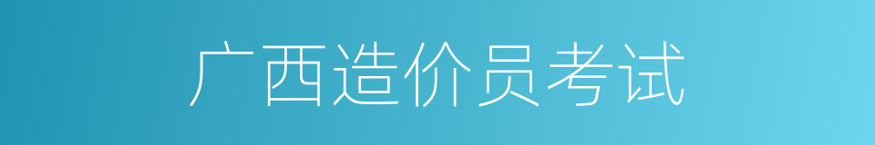 广西造价员考试的同义词