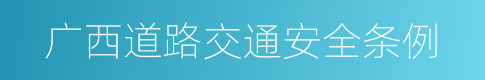 广西道路交通安全条例的同义词