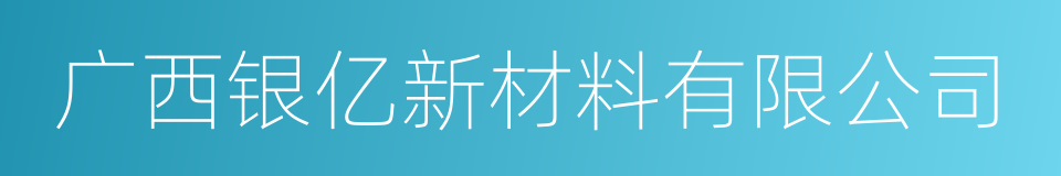 广西银亿新材料有限公司的同义词