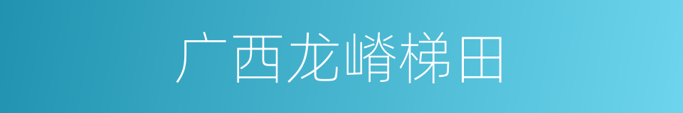 广西龙嵴梯田的同义词