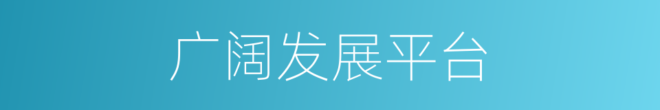 广阔发展平台的同义词