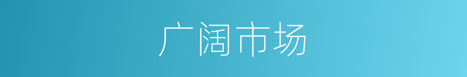 广阔市场的同义词