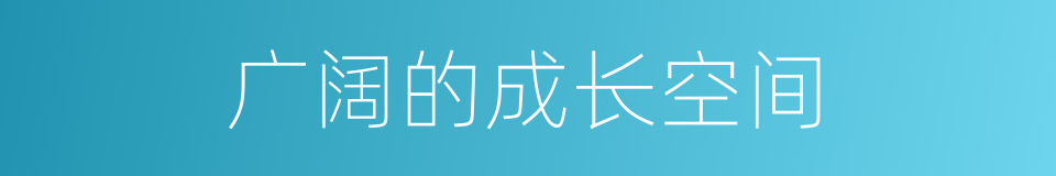 广阔的成长空间的同义词