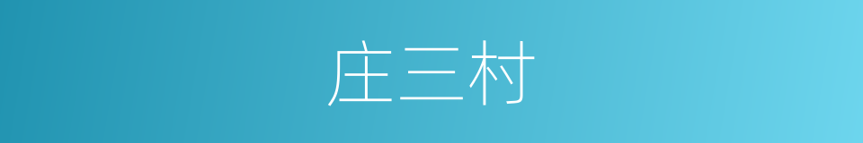 庄三村的同义词