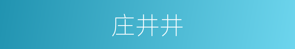 庄井井的同义词