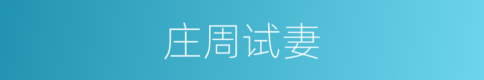 庄周试妻的同义词