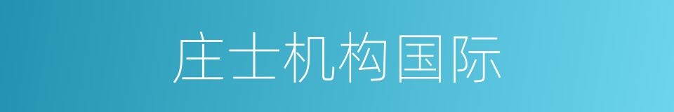 庄士机构国际的同义词