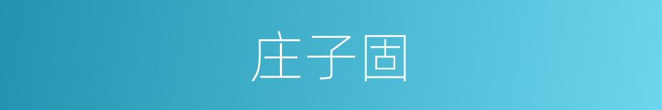 庄子固的同义词