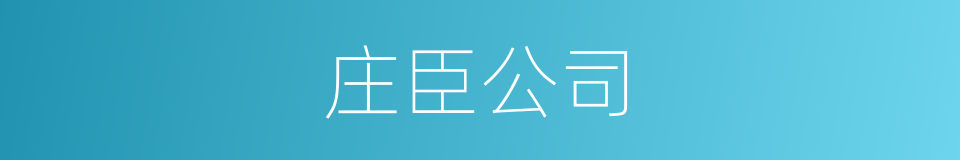 庄臣公司的同义词