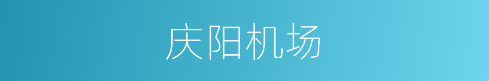 庆阳机场的同义词