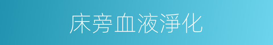 床旁血液淨化的同義詞