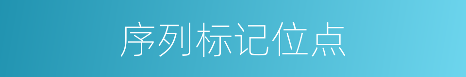 序列标记位点的同义词