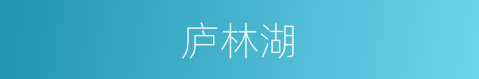 庐林湖的同义词
