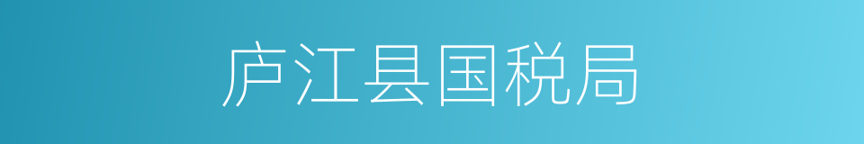 庐江县国税局的同义词