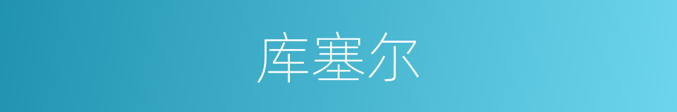 库塞尔的同义词