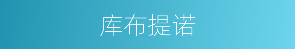 库布提诺的同义词